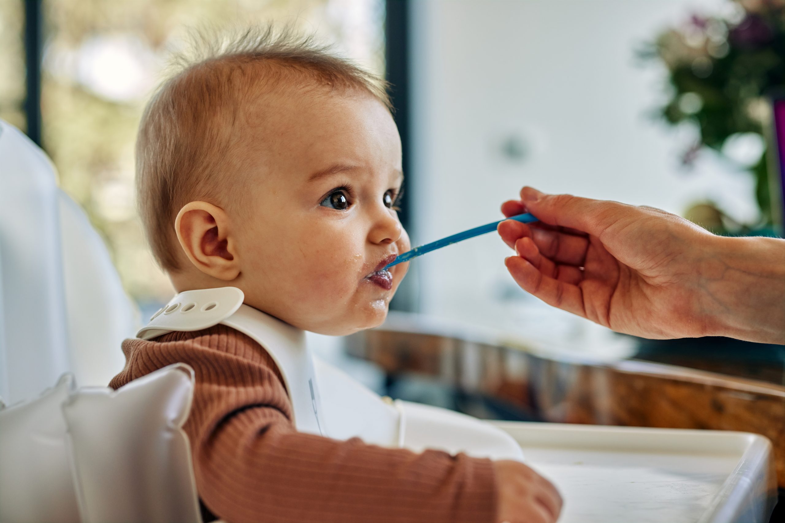 Quand introduire les premiers petits pots pour bébé ?